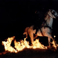 flamberk-scan-foto-020.jpg